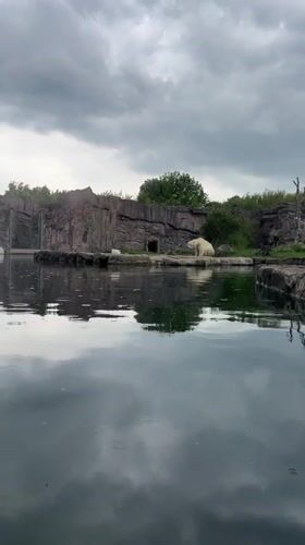 Zoo visitor documents animals, exhibits during rainy morning visit