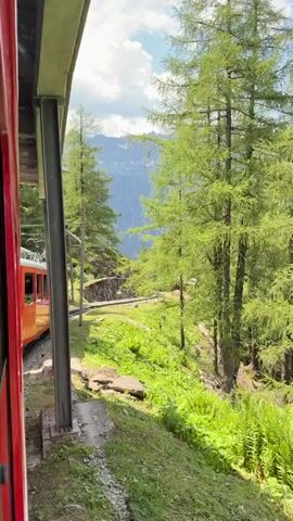 This video showcases a scenic train journey through a mountainous landscape, likely in Chamonix-Mont-Blanc, France. The camera is positioned on the left side of a bright red train, providing a view from within or just outside a passenger car. The train itself is a prominent object, its red exterior contrasting with the natural surroundings.

The scene is dominated by lush green vegetation, including dense forests of tall, coniferous trees, and vibrant green undergrowth. The terrain appears to be a steep mountainside, with rocky outcrops and patches of grass. In the distance, majestic mountains rise, their peaks visible against a bright blue sky dotted with fluffy white clouds. The sunlight suggests it is daytime, likely mid-morning or afternoon, and the weather appears clear and pleasant.

The activity is a train ride, implied by the movement of the landscape relative to the camera and the presence of railway tracks and overhead electrical lines. The train is curving along the tracks, offering a dynamic perspective of the surrounding environment. The overall mood conveyed is one of tranquility and appreciation for the natural beauty of the Alps.

There are no visible people clearly identifiable in the frame. The only visible text is a small inscription on a metal pole towards the right side of the frame, but it is too blurry to read. The focus is on the picturesque journey through a breathtaking mountain panorama.