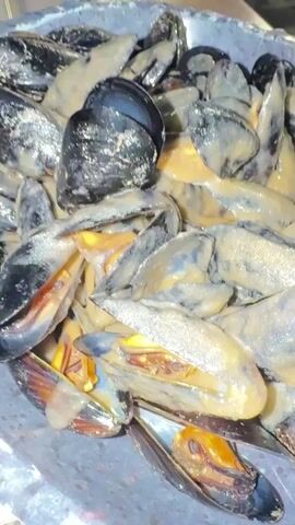 A close-up shot reveals a bowl filled with cooked mussels, many with their shells open. A creamy sauce coats the mussels, and the camera slowly zooms out to reveal a glass of white wine placed next to the bowl. The setting appears to be an outdoor restaurant, with empty tables and chairs in the background. People are faintly visible in the distance.