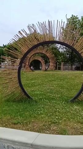 The video features an outdoor art installation located in a park-like setting in Aizpute, Latvia, observed during daylight hours. The primary subject is a series of large, concentric circular structures, each constructed from a black metal ring from which numerous light-colored wooden sticks radiate outwards. This arrangement creates a striking sunburst or spiky effect, particularly on the prominent foreground circle.

The camera initiates with a static view of the largest circular structure before executing a slow, deliberate pan to the right over nine seconds. This movement progressively reveals the entire installation, showcasing smaller, similar circles receding into the background, which creates an optical illusion of depth or a tunnel. A single person is visible sitting or resting within the smallest, innermost circle, providing a sense of scale to the artwork.

The installation is situated on a lush grassy field abundantly dotted with small white flowers, likely clover or daisies. Verdant green trees form the backdrop, with some buildings partially visible in the distant background. A light-colored concrete curb runs across the immediate foreground, suggesting the viewer's position on an adjacent paved surface. The sky appears overcast, casting soft, diffuse light across the scene, and no visible text is present within the frame. The overall atmosphere is tranquil and highlights the sculptural elements within their natural surroundings.