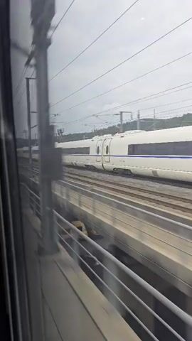 A white high-speed train is seen traveling on parallel tracks from the perspective of a passenger on another train. The train is elongated and modern, with a prominent blue stripe running along its length. The tracks are elevated, with a concrete barrier and railing visible in the foreground. Overhead, electrical wires for the train's power supply crisscross the sky. The sky is overcast, suggesting a cloudy day. The surrounding environment appears to be a mix of urban infrastructure and natural landscape, with hills visible in the distance. The camera's movement suggests it is also on a moving train, creating a sense of motion and speed.