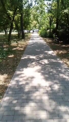 A paved walkway lined with trees and shadows stretches forward. A person is visible in the distance walking away from the camera. A bicycle is parked on the right side of the path. The scene appears to be a park on a sunny day.