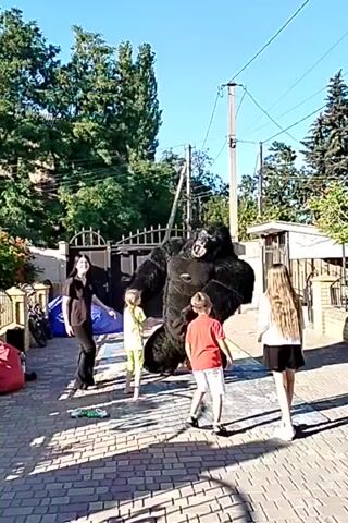 A group of children and an adult are outside in a paved courtyard, seemingly interacting with someone in a large gorilla costume. The adult, wearing a black top and pants, stands to the left, observing. Three children are more engaged with the gorilla. One child in a lime green outfit stands directly in front of the gorilla. Another child in a red t-shirt and white shorts is on the right side of the gorilla, bending down. A third child with long blonde hair, wearing a white top and black shorts, stands further to the right, facing the gorilla.

The setting appears to be a residential area with a fence and trees in the background, under a clear blue sky. The sun is shining, casting shadows on the ground, indicating it is daytime. The mood seems playful, with the children appearing excited and engaged with the costumed character. A blue inflatable structure is visible behind the gorilla, and some chalk drawings are on the ground. Electrical wires and poles are also visible in the background, suggesting a developed area. The location is identified as Staryi Aidar, Ukraine. No visible text is present in the frame.
