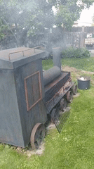 Latvian backyard in summer: smoker, berries, and blooms