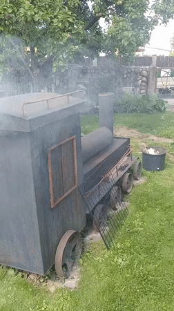 Latvian backyard in summer: smoker, berries, and blooms