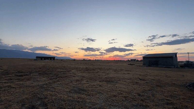 Dry steppe landscapes and wildlife near Ақші, Kazakhstan