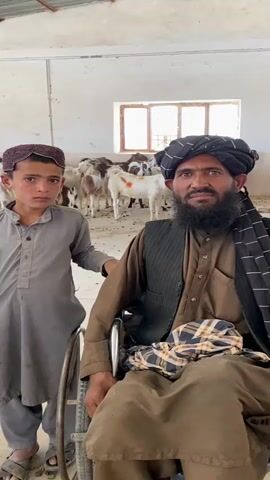 A young boy stands to the left of an adult man who is seated in a wheelchair. The man has a beard and is wearing a turban and vest. The boy is wearing a traditional cap and tunic. In the background, a group of goats are visible inside a building. The walls of the building appear to be made of concrete blocks, and there are windows with visible panes of glass. The floor is dusty. The lighting is bright, suggesting it is daytime.