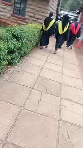 The video shows four people in graduation gowns walking away from the camera on a paved walkway. Three are wearing black gowns with yellow hoods, while one has a black gown with a red hood. They are walking next to a stone building with green bushes along the side. There is also green grass and trees visible. The walkway is made of square paving stones.