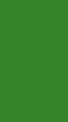 The video displays a solid green screen. There are no objects, people, or actions visible. The environment is not discernible.
