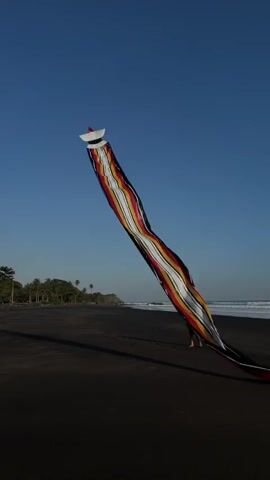 A very long, colorful kite with a white head and a patterned body in red, yellow, black, and white is flown from a black sand beach. The kite unfurls and twists in the wind as it ascends into a clear blue sky. A smaller, orange kite is visible higher in the distant sky. Palm trees line the left side of the beach, and ocean waves are visible on the right. One person is partially visible on the beach, operating the long kite. The camera pans upwards, following the ascending kite.