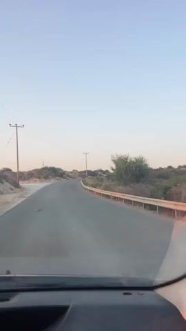The video shows a view from inside a vehicle, looking forward along a paved road. The road curves to the right in the distance. The landscape is arid, with dry brush and sandy terrain on either side of the road. There are utility poles with wires visible along the left side of the road. A guardrail runs along the right side of the road. The sky is clear and pale blue, suggesting either early morning or late afternoon. No people or other vehicles are visible in the frame. The camera appears to be moving, as indicated by the slight blur and the perspective of the road.