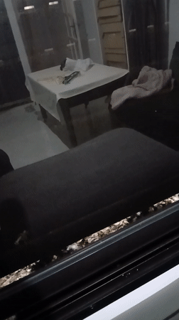 Daily life moments captured in Meknes: nesting birds, cityscape, roses