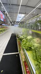 Inside a Villemomble supermarket: misted lettuce and cheese aisles