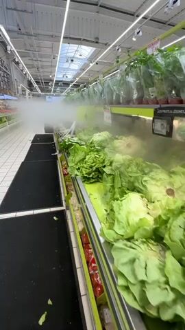 A vertical shot pans through a brightly lit supermarket produce aisle. On the right, a display of leafy green lettuce heads is being misted by a fine spray of water, creating a visible fog that obscures part of the display and the aisle ahead. The lettuce is arranged on a green-lit shelf. To the left, other produce such as apples and pears are visible on similar green shelves. The floor is tiled with white squares, and black mats are placed in front of the produce displays. Large digital screens displaying food images are mounted on the wall above the produce. The ceiling is a grid of white panels with prominent fluorescent lighting. The aisle extends into the distance, with more produce displays on either side. The overall impression is of a well-maintained and modern grocery store.