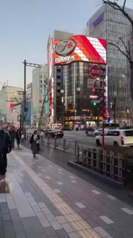 The video shows a sidewalk in a city, likely in Japan, in front of a large building with a prominent "FUJIYA" sign on its facade. The sign is red and white, and also has a large stylized image of a flower. The building is tall, with many windows, and is adjacent to other similar buildings. The sidewalk is wide and paved with gray tiles. People are walking on the sidewalk, some wearing masks. Cars are driving on the street next to the sidewalk, and a traffic light is visible. The sky is overcast. There's a metal barrier separating the sidewalk from the street. Some leafless bushes are on the other side of the barrier.