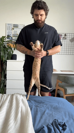Person holds cat upright in Khimki, Russia