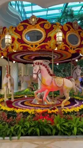 The video shows a flower carousel with horses. The carousel has a circular roof decorated with gold and burgundy patterns. Three fake horses decorated with white and yellow flowers are attached to the carousel. The base of the carousel is decorated with red, yellow, and purple flowers. Green plants are growing around the carousel. The carousel is under a glass ceiling with sunlight shining through.