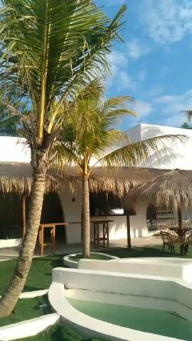 The camera pans from left to right across an outdoor patio featuring a complex swimming pool design. The pool, filled with greenish water, is partitioned into several round, white-walled sections each containing a round, wooden table. Palm trees are scattered throughout, and thatched umbrellas shade seating areas. A white building forms the backdrop, featuring textured walls. The sky is a vibrant blue with scattered clouds.