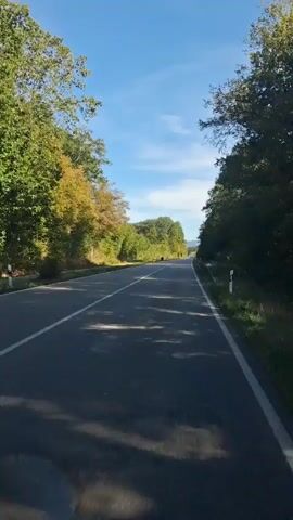 The video shows a first-person perspective of driving on a paved road through a forested area. The trees lining the road display autumnal colors. The sky is blue with some scattered clouds. The road has white lines marking the lanes. There are a few white road markers visible on the side of the road. The sunlight casts shadows on the road. There are no visible people or other vehicles in the immediate vicinity. The camera appears to be mounted low, possibly on a dashboard or front bumper.