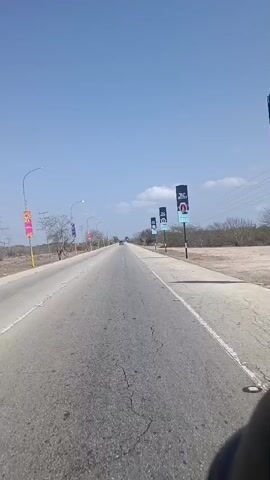 The video shows a two-lane highway, likely a paved asphalt road, under a clear blue sky with sparse clouds. The road surface appears cracked in places. The view is from a moving vehicle, presumably travelling along the right-hand lane. Along both sides of the road are intermittent rows of bare or sparsely leaved trees, and tall light poles with banners or flags attached to them. Some of the banners bear what appear to be portrait images of individuals. In the distance, a single dark-colored car is visible travelling in the same direction. Towards the end of the video, a hand wearing a dark-colored sleeve momentarily appears in the lower right corner.  The overall environment looks somewhat arid and desolate.