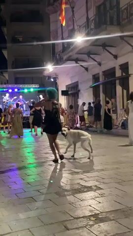 A woman with blue hair in a black dress walks a white dog on a leash in a cobblestone plaza at night. The dog is pulling on the leash, and its mouth is near the end of the leash. In the background, a live band performs on a stage with colorful lights. Several people are watching the band or standing around the plaza. A flag flies from a building in the background. The ground is wet, reflecting the lights.