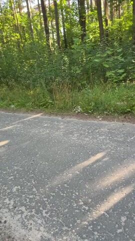 The video begins with a view of a paved road bordered by trees and foliage. The camera pans right to capture a young boy on a red motorcycle, riding along the road. He is wearing a yellow t-shirt with the number 12 on the back and blue shorts. The motorcycle is a vintage model. As the video progresses, the boy turns off the paved road and rides onto a grassy area. In the background, cars are visible parked near trees, suggesting a residential or recreational area. The scene is set in a wooded environment with sunlight filtering through the trees, casting shadows on the road.