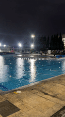 Night pool footage and plant photography documented early morning