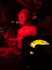 Valentine's Day entertainment at upscale Marrakech restaurant features dancers, acrobats