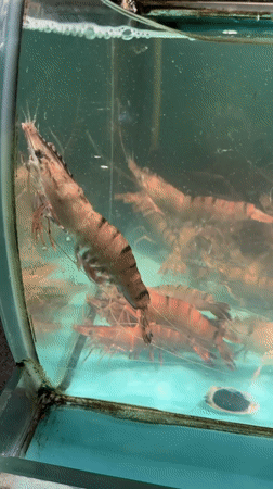 Live seafood tanks and displays at a Da Nang market