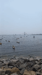 Mumbai harbor scenes captured under hazy morning skies