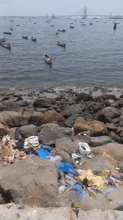 Mumbai harbor scenes captured under hazy morning skies