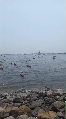 Mumbai harbor scenes captured under hazy morning skies