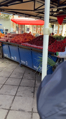Sofia residents document routine market shopping and restaurant dining