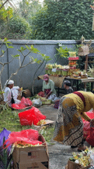 Balinese religious ceremony preparations observed across Nusa Penida
