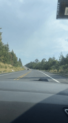 Driver records highway journey through Mexican forest near Llano Verde