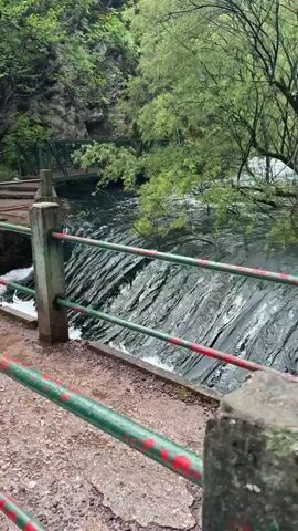 The video depicts a river flowing rapidly over a man-made weir, which causes the water to froth and foam as it cascades down. The structure of the weir includes a metal gate mechanism and a concrete walkway with painted green and red handrails. Lush green trees and foliage surround the water feature, suggesting a natural or park setting. The scene is filmed from a static, eye-level perspective. The walkway and surroundings appear damp, possibly indicating recent rain.