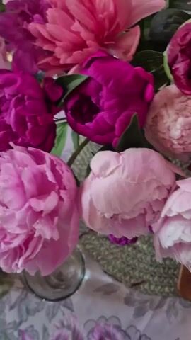 A close-up, vertical video shows a bouquet of peonies in various shades of pink and magenta. The flowers are in different stages of bloom, with some buds and some fully opened petals. The bouquet is arranged in a glass vase, which is partially visible at the bottom left of the frame. The vase sits on a table covered with a patterned tablecloth. A placemat with a woven texture is beneath the vase and flowers. To the right of the vase, a small plate with a floral design is visible. Two small, dark pink or magenta peonies are placed individually on the placemat. The lighting is soft, suggesting an indoor setting, possibly a dining room. The focus is primarily on the flowers, with the background elements slightly blurred.
