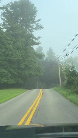 A car drives on a wet, two-lane road surrounded by trees and fog. Yellow lines divide the lanes. A wooden utility pole with wires stands on the right side of the road. In the distance, a small white building is visible. The fog is thick, obscuring the trees and the road ahead.