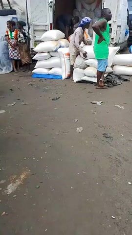 The video depicts a bustling outdoor scene, likely a market or loading area, in Akinima, Nigeria. Several people are engaged in the activity of unloading or moving large sacks, which appear to contain grain or similar commodities.

The primary subjects are groups of individuals, including men and women, dressed in casual attire. One man in a bright green tank top and blue shorts is actively handling a sack, while another person, wearing a light-colored shirt and a headscarf, also works with the sacks. In the background, other individuals are visible near the open rear doors of a white van, presumably involved in the same unloading process. Another man is seen on top of a white vehicle in the distance, seemingly assisting with its contents.

Objects prominently featured are the numerous large, white sacks piled high, suggesting a significant quantity of goods. A rusty green wheelbarrow sits in the foreground, hinting at the manual labor involved in transporting these items. Several vehicles are present, including the white van, a dark-colored car in the middle ground, and other vehicles further in the background, contributing to the sense of a busy commercial hub.

The setting appears to be an unpaved, dirt or gravel ground, with some scattered debris, indicative of an outdoor working environment. The lighting suggests it is daytime, and the sky is overcast, implying potentially humid or approaching rainy weather typical of Nigeria. The overall atmosphere conveyed is one of active commerce and hard work.

There are no overtly visible emotions expressed, but the focused actions of the individuals suggest a task-oriented environment. A piece of text is visible on one of the sacks, appearing to be the brand name "BAYER" in red letters.
