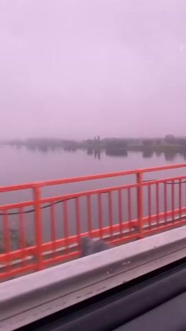 The video captures a view from inside a vehicle looking out through a window. A red railing of a bridge is prominently visible in the foreground, running horizontally across the frame. Beyond the railing, a wide body of water, likely a river or lake, stretches into the distance. The water is a calm, muted gray. The far bank of the water is lined with trees, which appear blurred and indistinct due to a thick, pinkish fog that blankets the entire scene. The fog creates a hazy, dreamlike atmosphere, obscuring any clear details of the landscape beyond the trees. The sky is also a uniform, hazy pink, merging seamlessly with the fog. The overall impression is one of a still, quiet, and slightly melancholic environment.