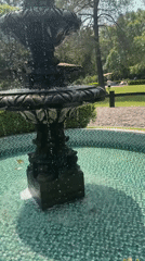 Garden scenes documented in Cañada de Madero public space