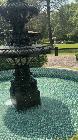 Garden scenes documented in Cañada de Madero public space