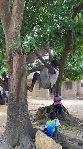 Children play games, eat fruit around tree in Nigerian village