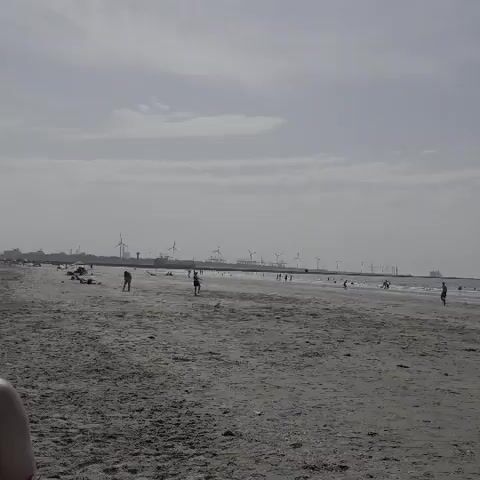 This is a video of a beach in Hook of Holland, Netherlands. The scene is a wide, sandy beach with a calm sea. In the distance, there are wind turbines, suggesting a coastal location with renewable energy infrastructure. Several people are visible on the beach and in the shallow water, engaged in various activities. Some individuals are walking along the shoreline, while others appear to be playing or swimming. There are also beach chairs and umbrellas set up, indicating people are relaxing and enjoying the day. A blue tent is pitched on the sand. The sky is overcast with a few faint clouds, suggesting a mild or perhaps slightly hazy day. The overall atmosphere seems relaxed and casual, typical of a beach outing. There is no visible text in the video.