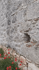 Ancient ruins documented amid spring wildflowers in Kumluca, Turkey