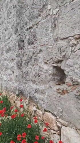 Ancient ruins documented amid spring wildflowers in Kumluca, Turkey