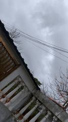 Residential scenes documented in Santa Ana, Venezuela