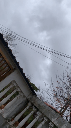 Residential scenes documented in Santa Ana, Venezuela