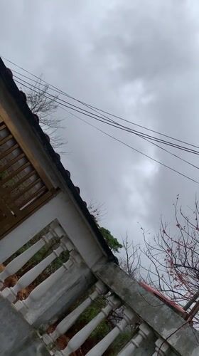 Residential scenes documented in Santa Ana, Venezuela
