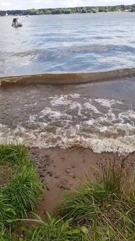 The video shows a body of water with waves lapping at a sandy shore. There is green grass on the bank. In the distance, there is a treeline and a cloudy sky. A small white boat is visible on the water to the left.